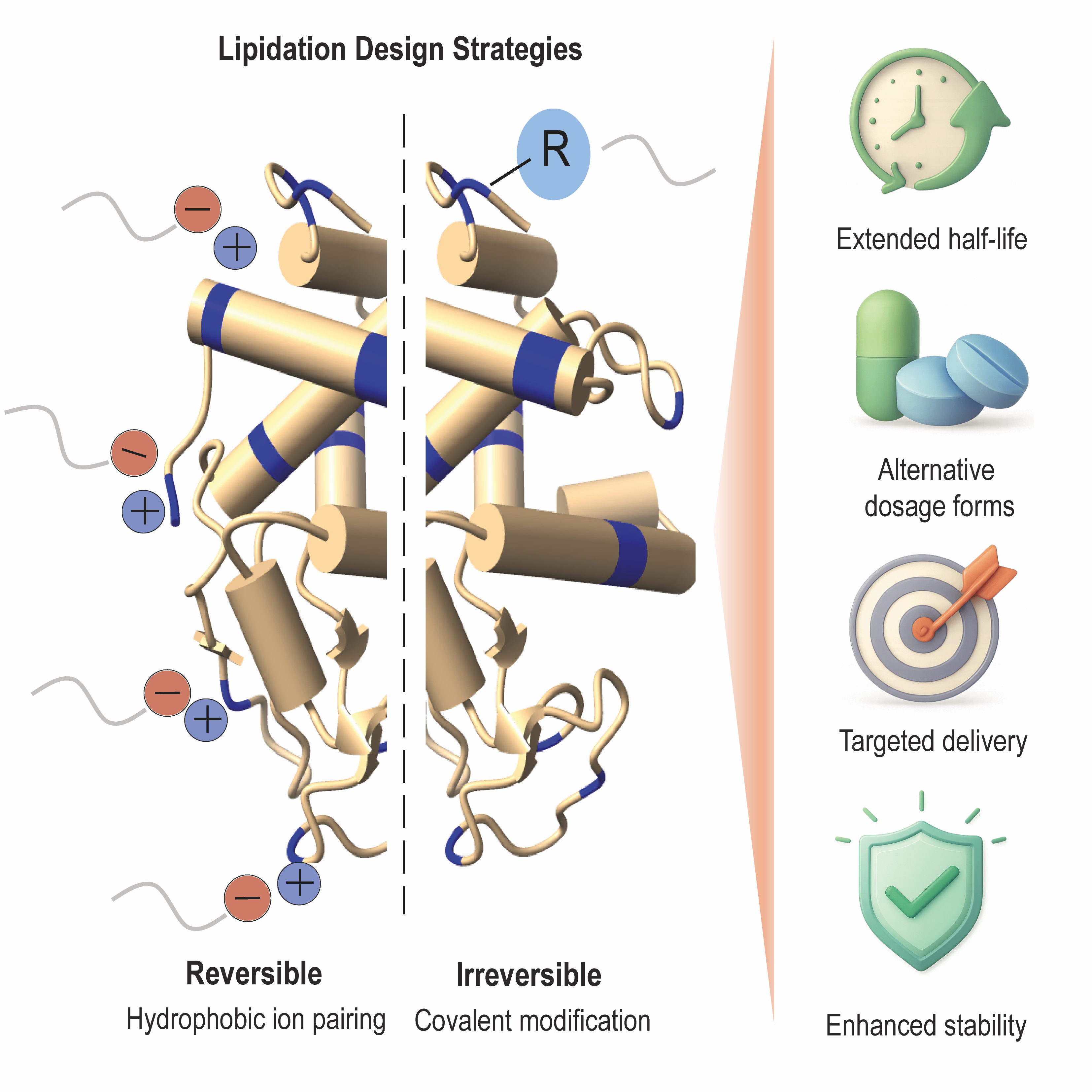 Graphical abstract
