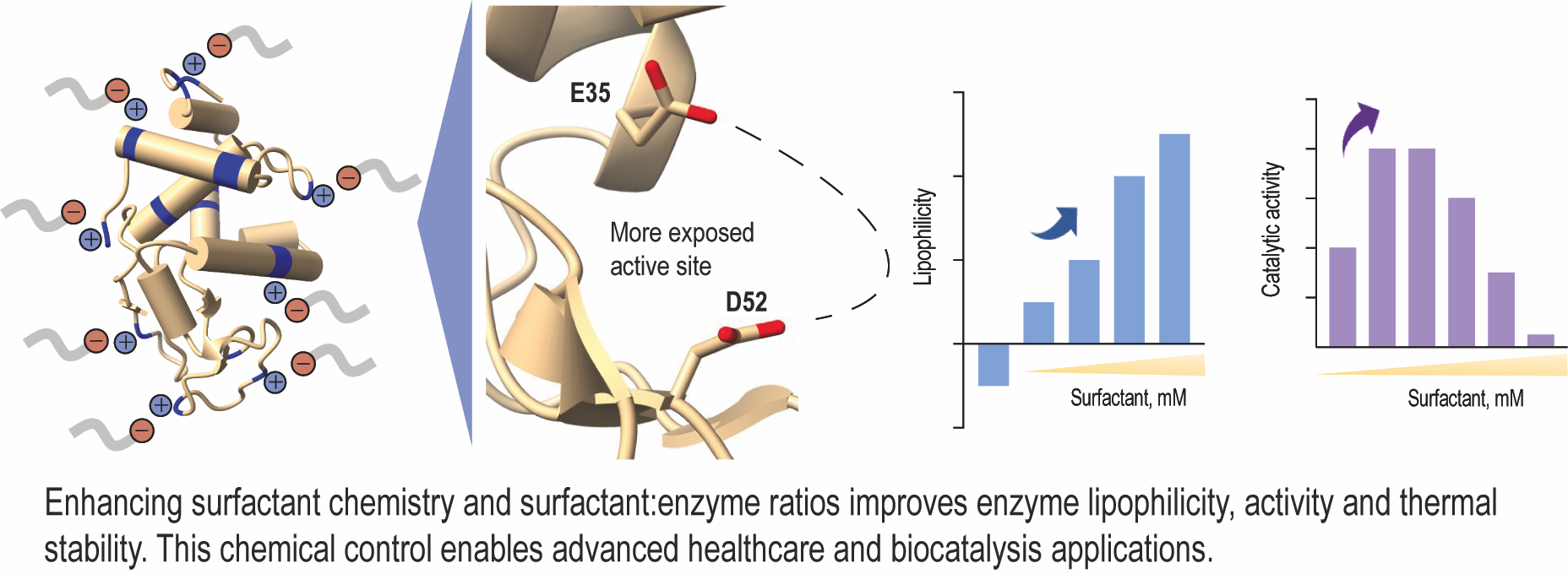 Graphical abstract